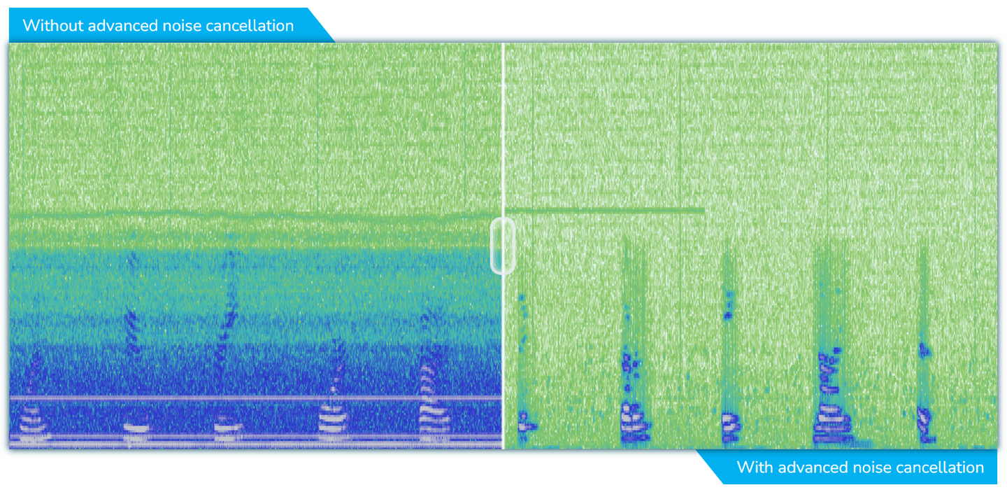 spectrogram comparing noisy and denoised audio