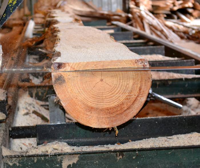 sawmill sawing logs